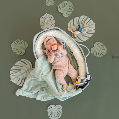 Taf Toys csörgő Harry, az oroszlán rágókával 12675