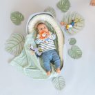 Taf Toys csörgő Harry, az oroszlán rágókával 12675