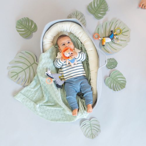 Taf Toys csörgő Harry, az oroszlán rágókával 12675