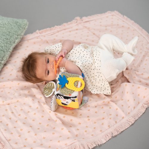 Taf Toys készségfejlesztő játékkocka - Szavanna 12755