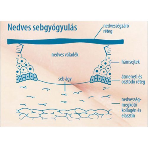 Lansinoh bimbóvédő krém HPA Lanolin 10ml 