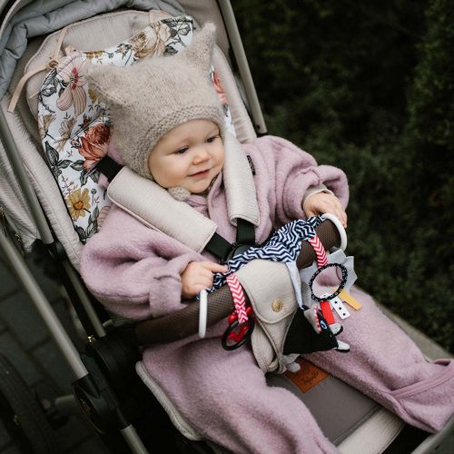 BabyOno babakocsijáték MOUSE Cheese and Skip 797