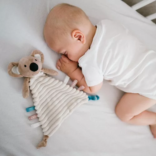 BabyOno szundikendő Charlie koala plüss 1559