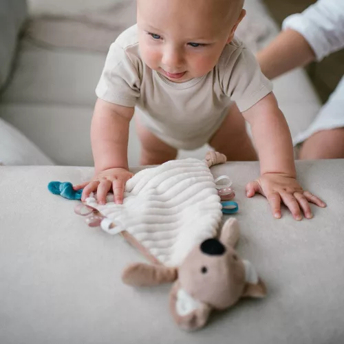 BabyOno szundikendő Charlie koala plüss 1559
