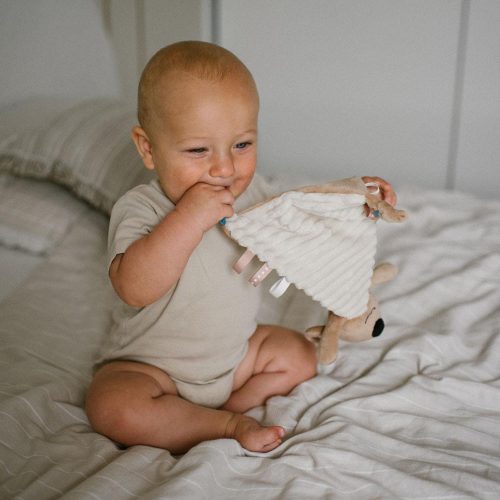 BabyOno szundikendő Charlie koala plüss 1559