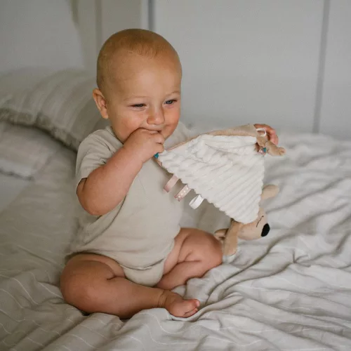 BabyOno szundikendő Charlie koala plüss 1559