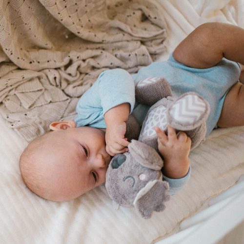 BabyOno csörgő Koala Coco koala plüss 1631