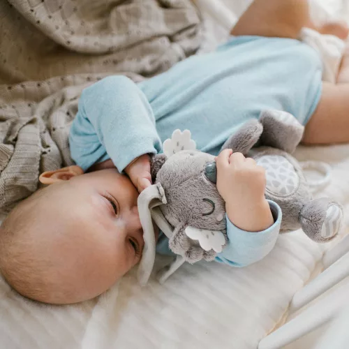 BabyOno felhúzós-zenélő játék Koala Coco 1632