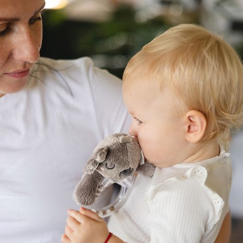 BabyOno marokcsörgő Koala Coco koala 1634