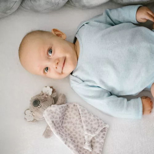 BabyOno szundikendő Koala Coco plüss 1635