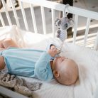 BabyOno harangjáték Koala Coco 1636