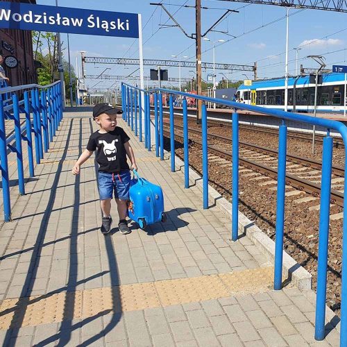 Mancs őrjárat bőrönd kék