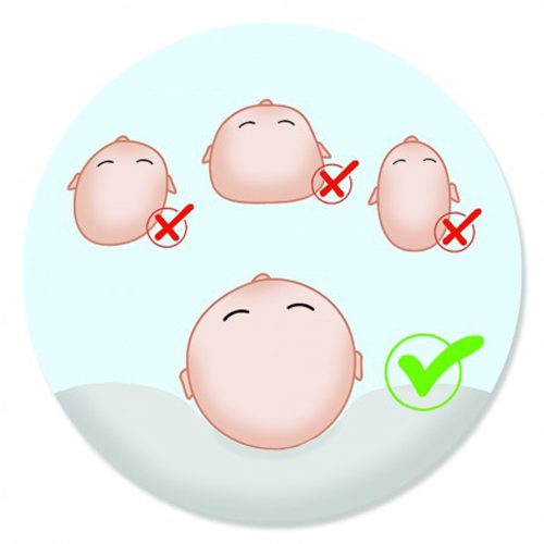 Scamp laposfejűség elleni párna Mouse BLP001