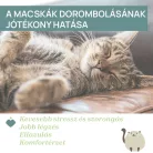 Dorombolós plüss cica 0M+