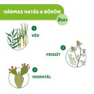 NaturalZ ROLL ON 60 ml EUKALIPTUSZ, CITROMFŰ illóolajokkal