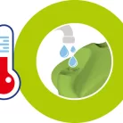 Warmy Plate melegentartó tányér kék