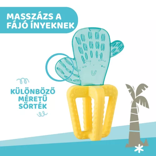 Frissítő hűsítő rágóka kaktusz fogzási időszakra