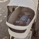 Chicco Flexi mózeskosár - csak szettben kapható a Bellagio babakocsihoz Kory Plus hordozóval