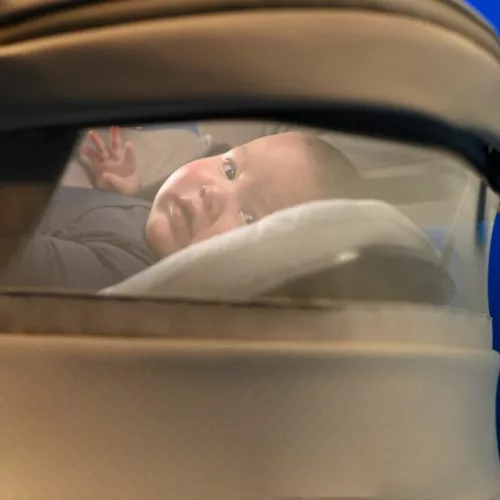 Fame Cabin Cot mózes anti-reflux fejtámla, biopamut lélegző matrac